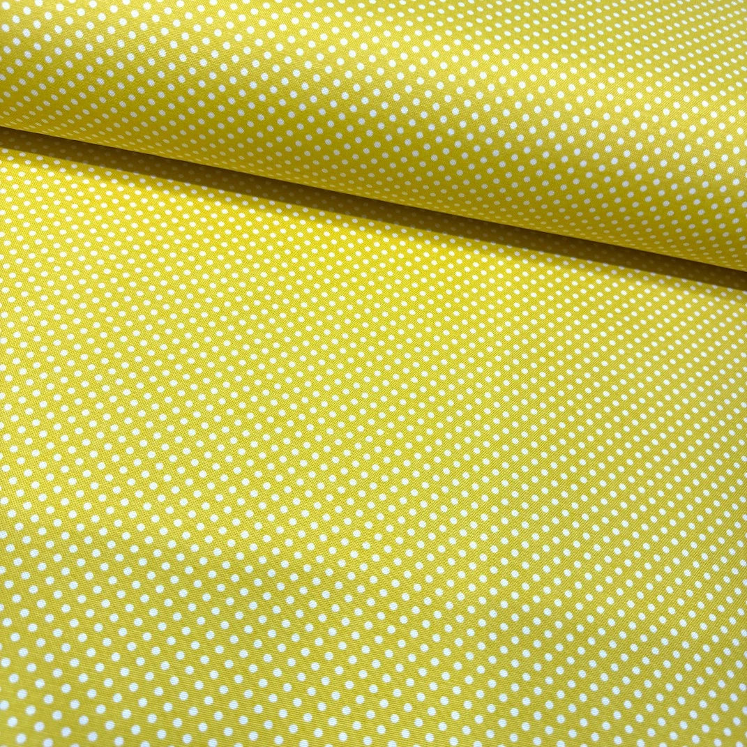 Polka Dot Duck Canvas
