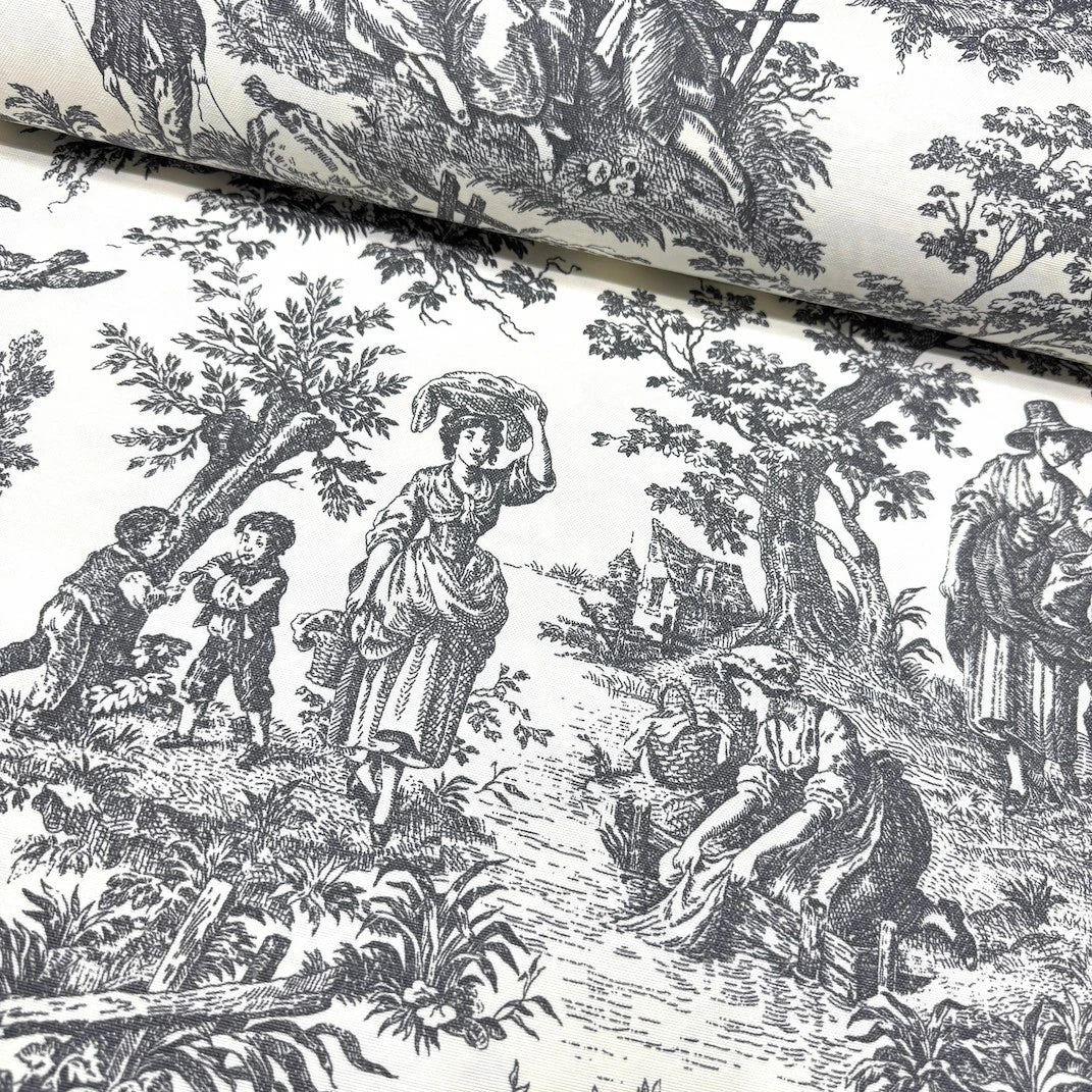 French Toile Duck Canvas