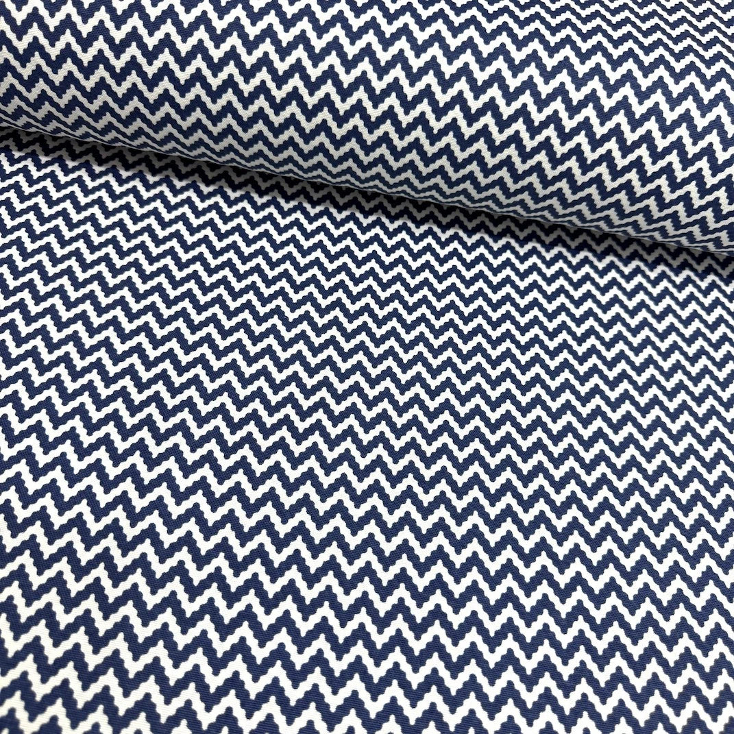 Zigzag Duck Canvas