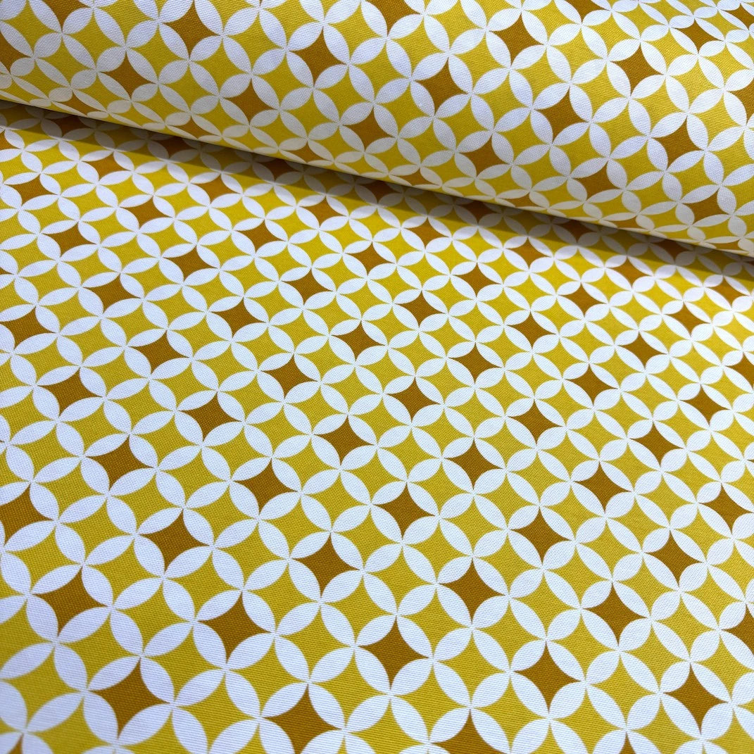 Star Check Duck Canvas