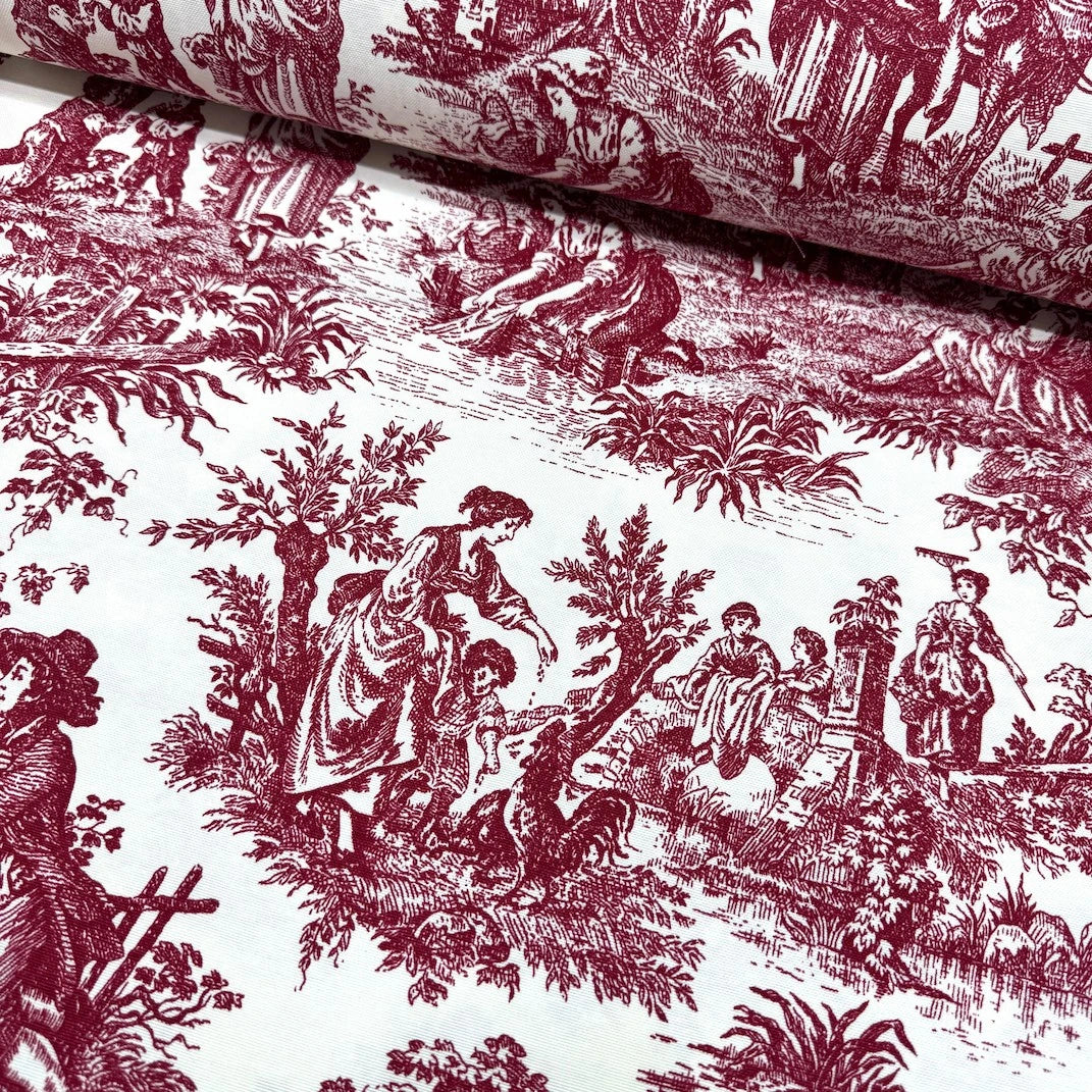 French Toile Duck Canvas