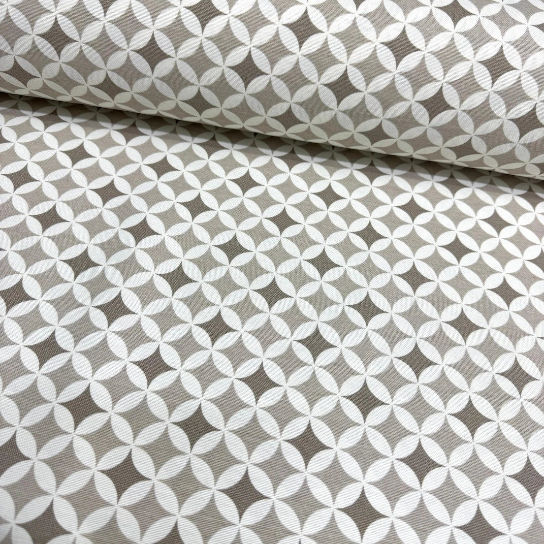 Star Check Duck Canvas