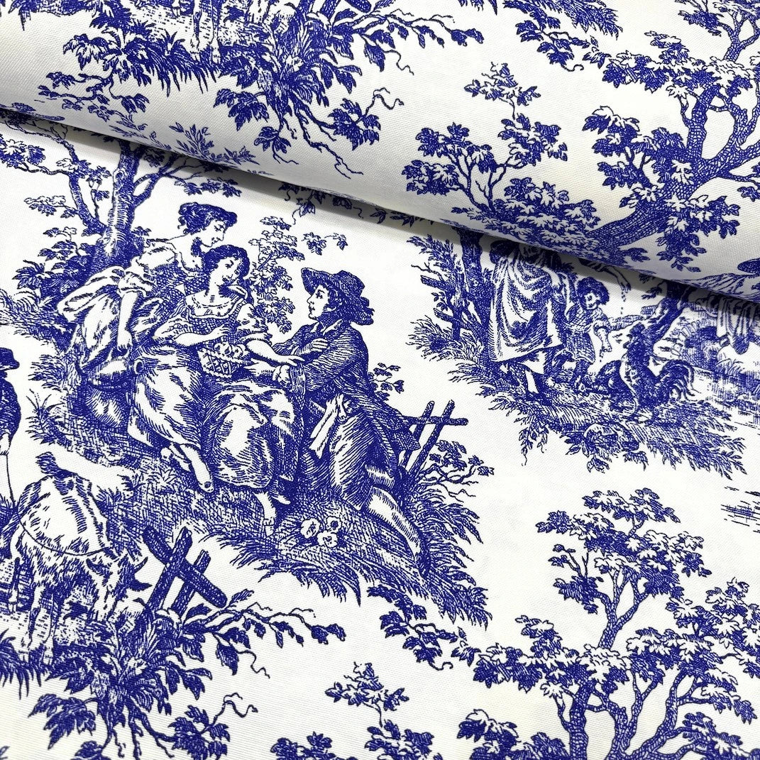 French Toile Duck Canvas