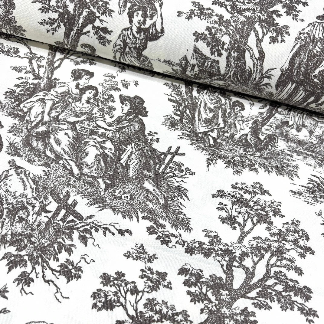 French Toile Duck Canvas
